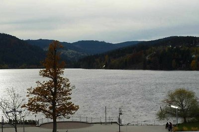 Appartamento Vacanza con famiglia Titisee-Neustadt