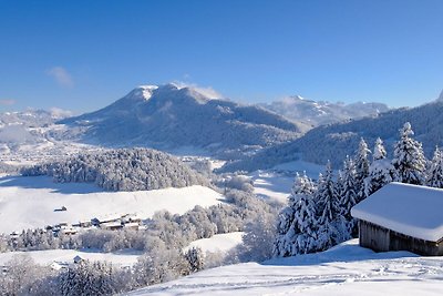 Vakantieappartement Gezinsvakantie Schwarzenberg