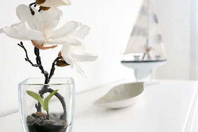 Appartement Vacances avec la famille Dierhagen