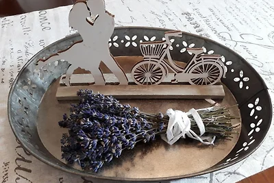Lavanda