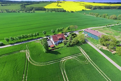 Vakantieappartement Gezinsvakantie Kühlungsborn