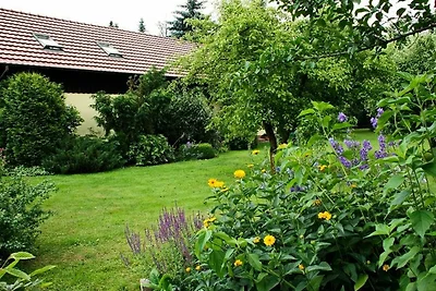 Vakantieappartement Gezinsvakantie Byhleguhre-Byhlen