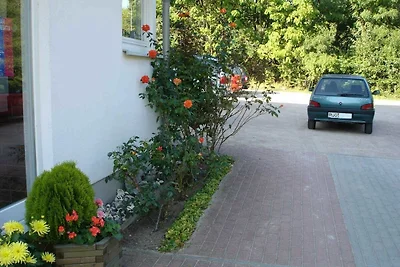 3 Zimmer Apartment / Süd-Ost-Balkon