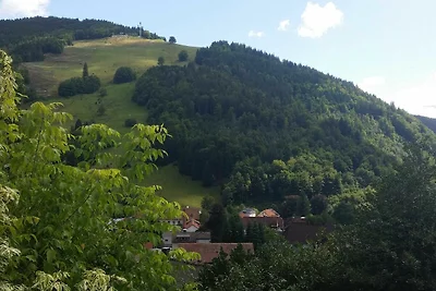 Panoramablick