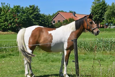 Ferienwohnung Möwe