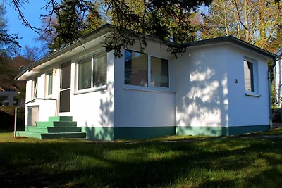 Vakantieappartement Gezinsvakantie Sellin