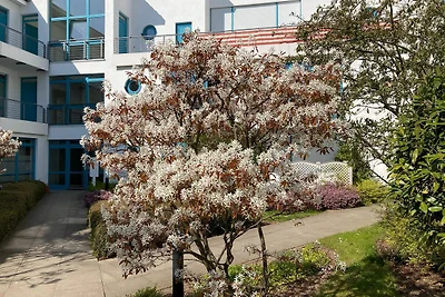 Strandstrasse-OstSeestern Fewo 12