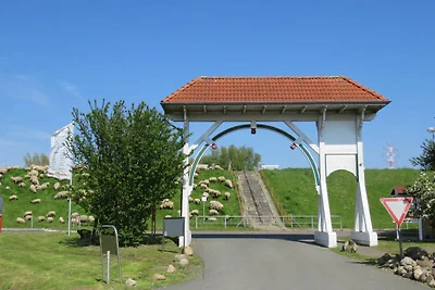 Ferienhaus 110 Ingrid Marie 60qm für max.