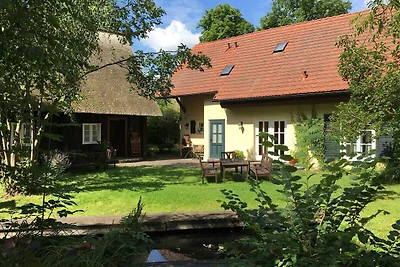Fewo Schlangenkönig