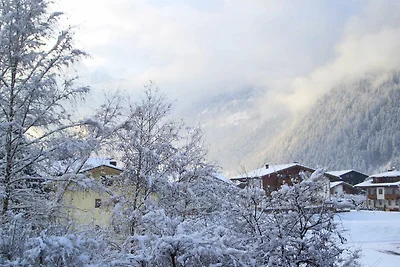 Vakantieappartement Gezinsvakantie Mayrhofen