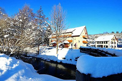 Hotel Cultuur en bezienswaardigheden Lenzkirch