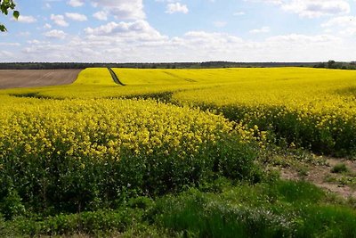 Vakantiehuis Ontspannende vakantie Zwenzow