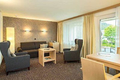 Hotel Cultuur en bezienswaardigheden Titisee-Neustadt
