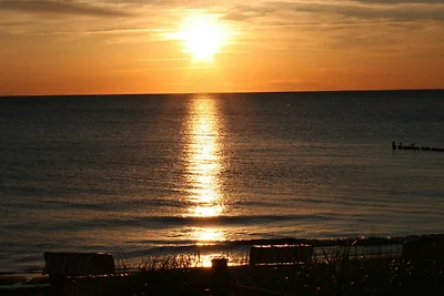 Vakantieappartement Gezinsvakantie Ahrenshoop