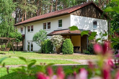 Hotel cultural and sightseeing holiday Arendsee