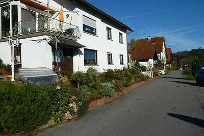 Appartamento Vacanza con famiglia Wald-Michelbach