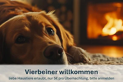 Klipper #W16 (Kamin)