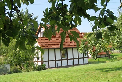 Ferienhaus 122 Scout 60qm für max.