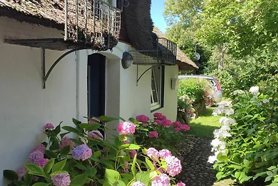 Friesenkate Ost Brukswai 3 Goting