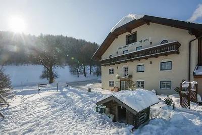 Albergo Cultura ed escursioni Koppl Salzburg