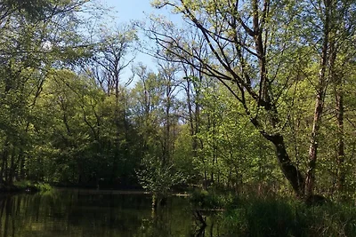 Apartment 1, Erdgeschoss