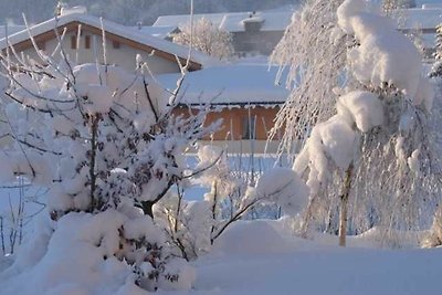 Vakantieappartement Gezinsvakantie Au in Vorarlberg