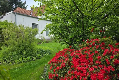 Apartament Dla rodzin Senftenberg