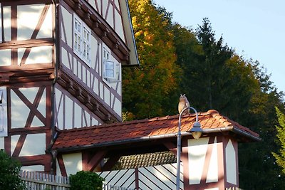 Ferienwohnung am Schlosspark in Blankenburg