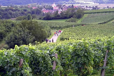 Appartement Vacances avec la famille Herbolzheim