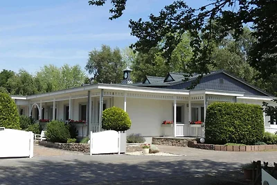 Haffmuschel (5)