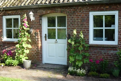 Vakantieappartement Gezinsvakantie Braderup (Nordfriesland)