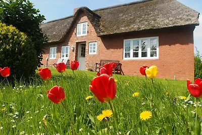 Vakantiehuis Ontspannende vakantie Ockholm