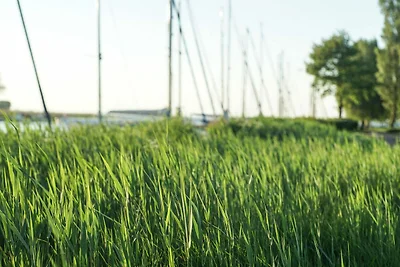 Appartamento Vacanza con famiglia Mönkebude