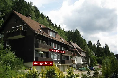 Ferienwohnung Georgenhöhe