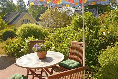 2 Zimmer Apartment / Süd-Terrasse