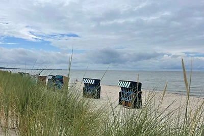 Appartamento Vacanza con famiglia Greifswald