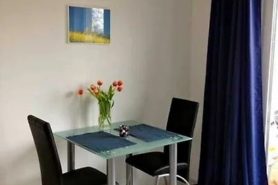 Appartement 1 - mit grosser Terrasse