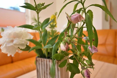 Appartamento Vacanza con famiglia Rerik & Umland