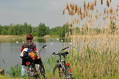 Vakantiehuis Ontspannende vakantie Neukalen