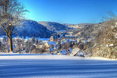 Albergo Cultura ed escursioni Lenzkirch