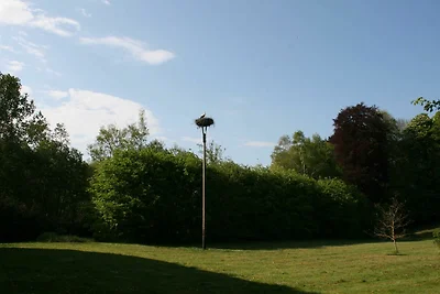 Vakantieappartement Gezinsvakantie Bad Sülze