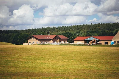 Apartament Dla rodzin Wolgast