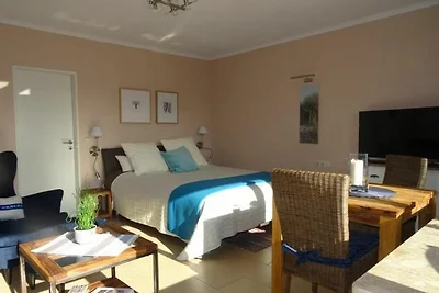 1-Raum FeWo 6, EG, 35m², Terrasse süd/west