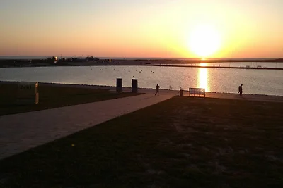 4-Norderpiep (BC.a3)