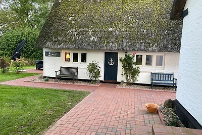 Vakantiehuis Ontspannende vakantie Wischhafen
