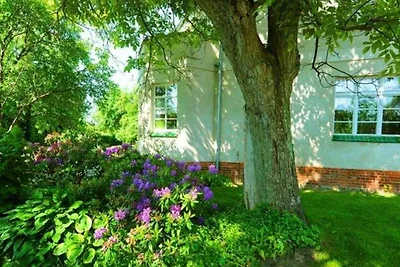 Ferienwohnung Seepferd