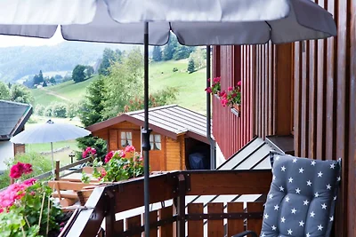 Appartamento Vacanza con famiglia Todtnau