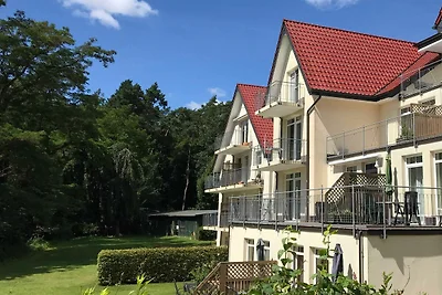 Seeblick I