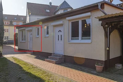 Hafenhaus Unterwasserwelt