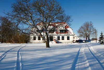 Feuerstein